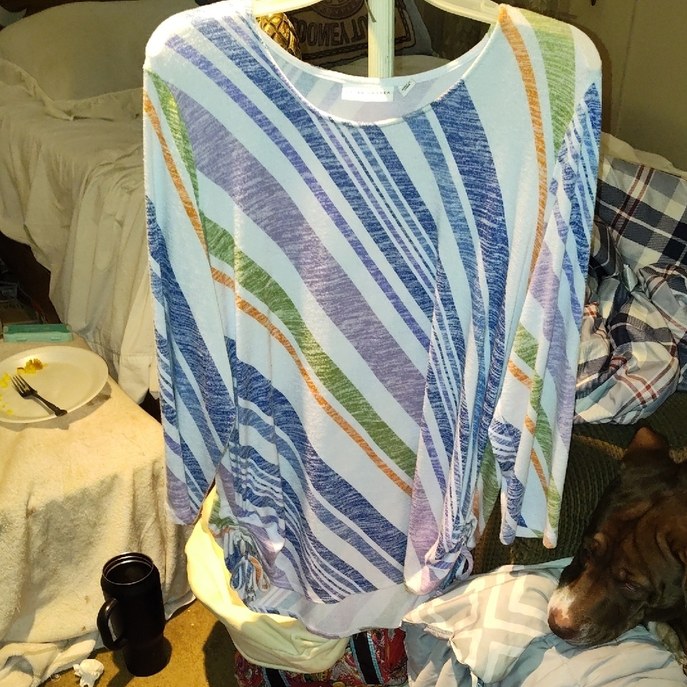 Susan Graver Blue and Green Long Sleeve Blouse for Casual Wear